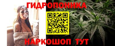 марихуана Гусиноозёрск
