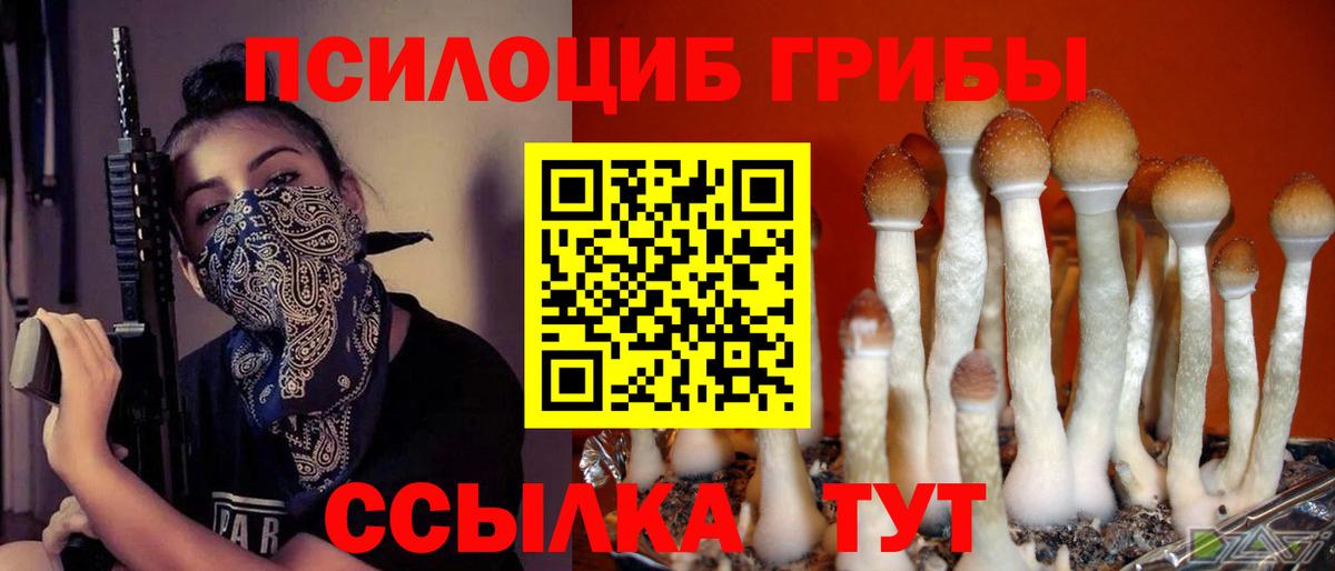 Псилоцибиновые грибы MAGIC MUSHROOMS  Вход с VPN  Нижний Новгород  Галлюциногенные грибы мухоморы 